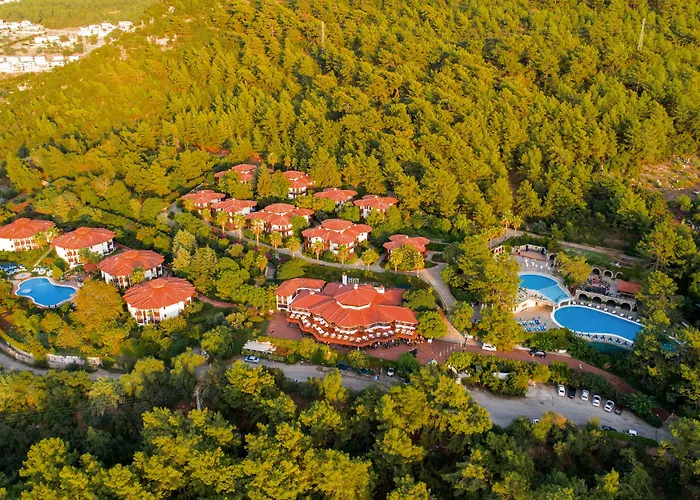 Montana Pine Resort